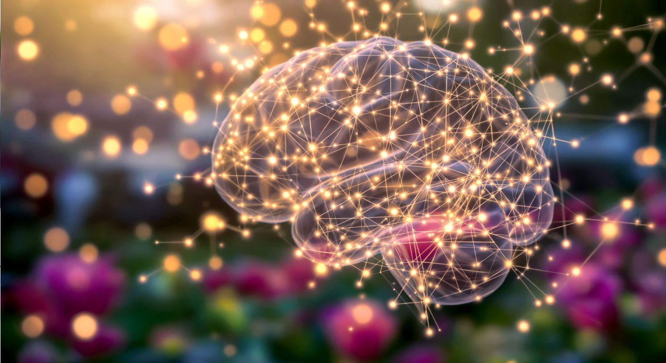 > Professional DSLR photo, 16:9, warm, inviting light. > **Subject**: A clear visual representation of "neural pathways." This could be abstract, like glowing, interconnected lines or threads forming a clear, well-worn path through a softly blurred brain-like structure. > **Foreground**: A subtle visual of the "Reticular Activating System" (RAS) as a small, focused spotlight or filter highlighting specific elements in the background. > **Background**: A blurred scene of everyday objects (e.g., a red car, a specific type of flower) with only a few instances of the "highlighted" object appearing sharp, demonstrating the RAS's filtering. > **Mood**: Illuminating > **Note**: NO text, NO abstract graphics. Avoid people unless they are named, central historical figures.