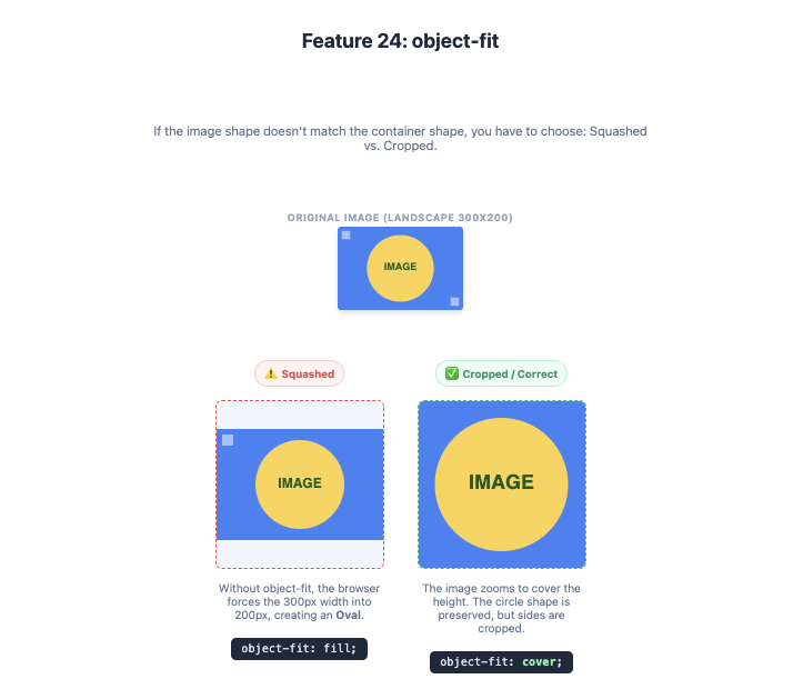 Feature 24: object-fit example